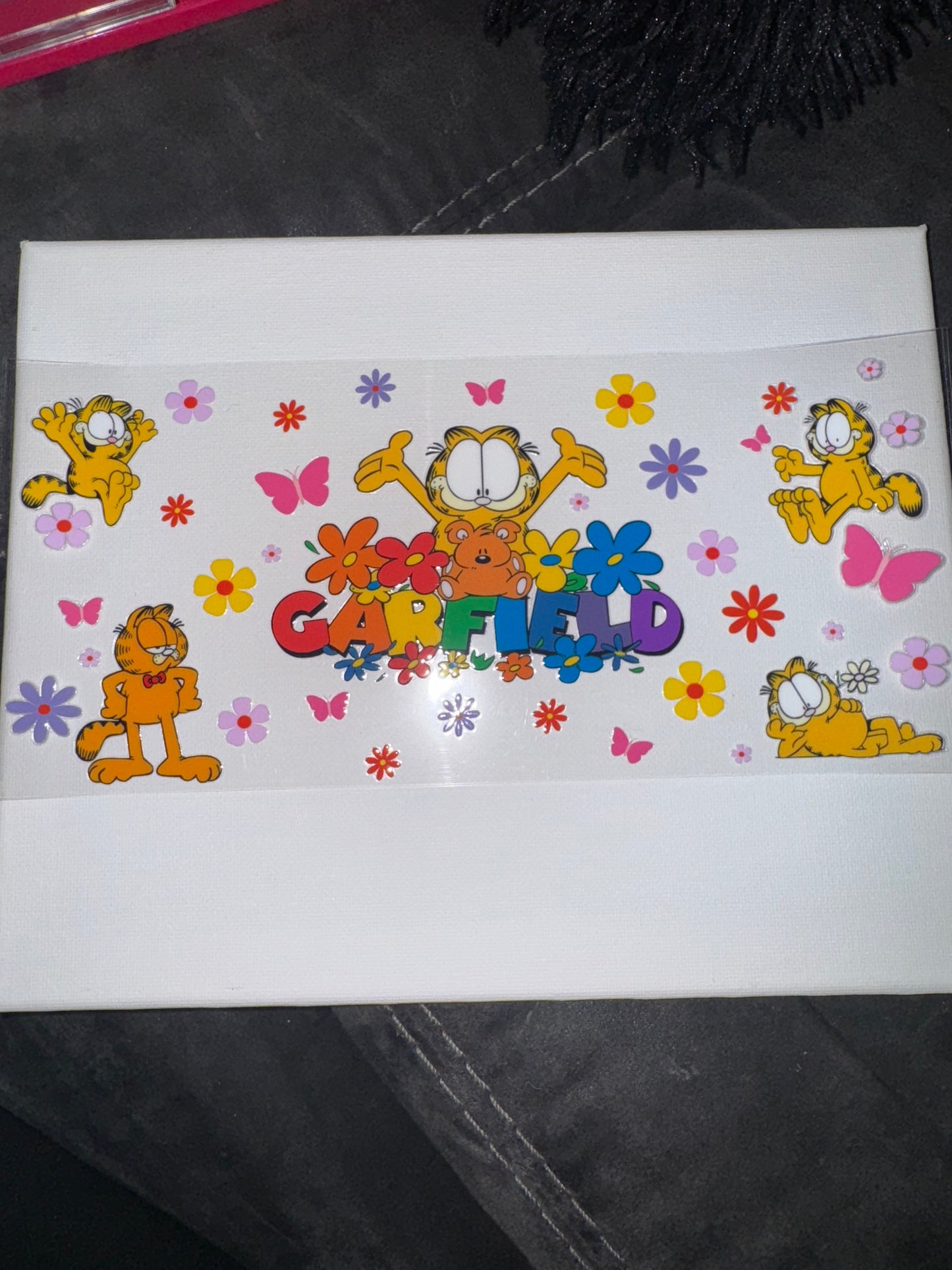 Rainbow Garfield